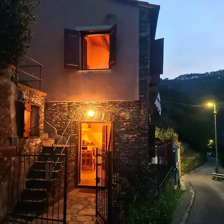 La Volpe E La Rosa *