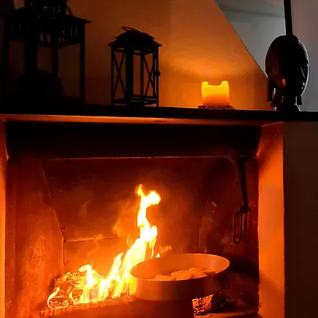 La Volpe E La Rosa *