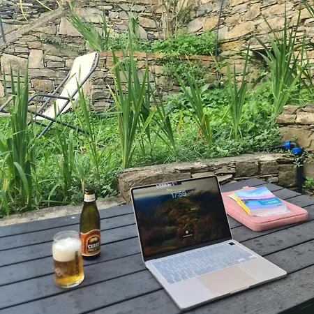 La Volpe E La Rosa *