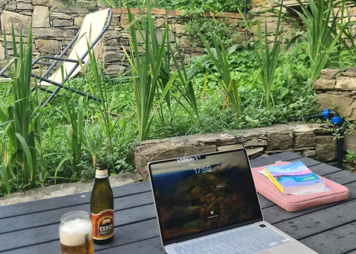 La Volpe E La Rosa *